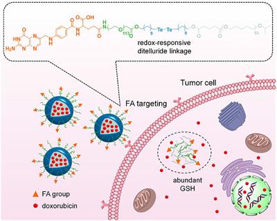 Ditelluride-Bridged PEG-PCL Copolymer as Folic Acid-Targeted and Redox-Responsive Nanoparticles for Enhanced Cancer Therapy